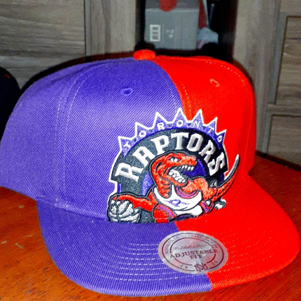 Toronto raptors snapback